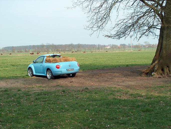 Volkswagen Beetle pick-up11