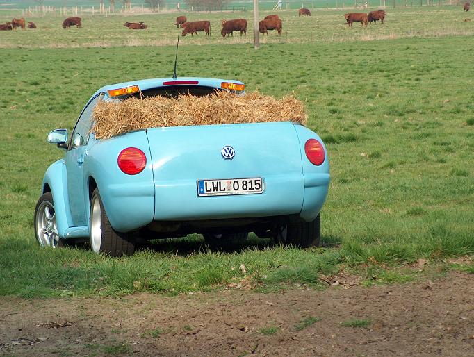 Volkswagen Beetle pick-up12