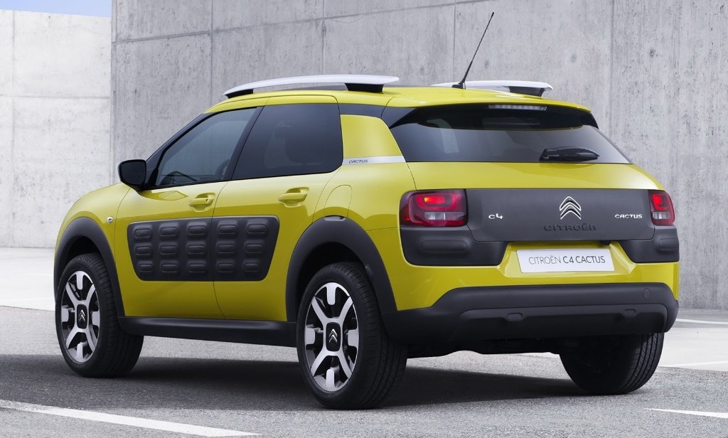 C4 Cactus amarillo