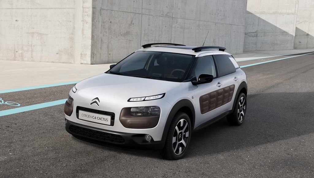 C4 Cactus blanco