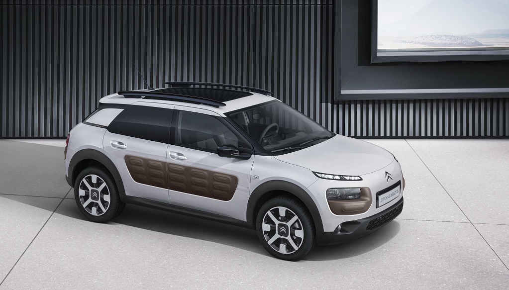 C4 Cactus prensa