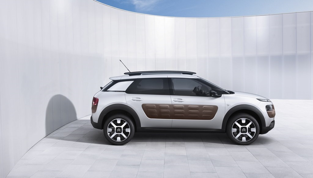 C4 Cactus 17