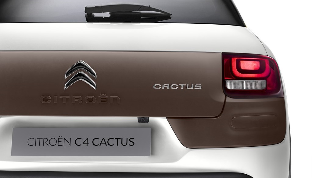 C4 Cactus 5