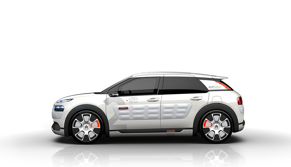 C4 Cactus Airflow 2L 9