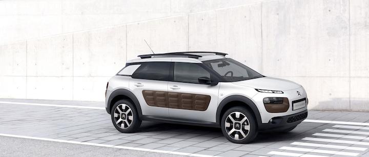 c4cactus 2014