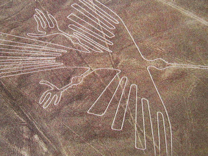 lineas de nazca figura pajaro