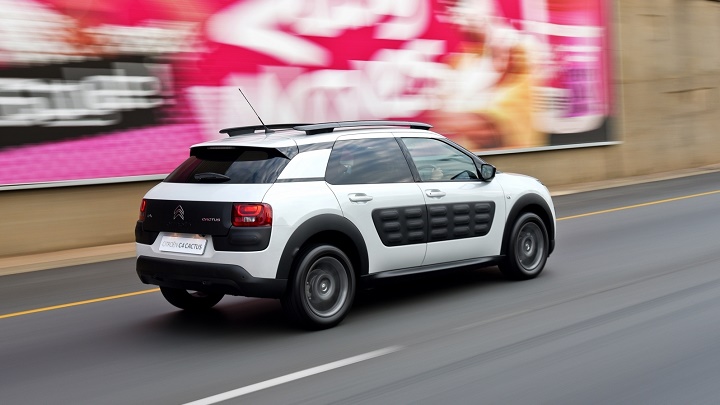 C4 Cactus