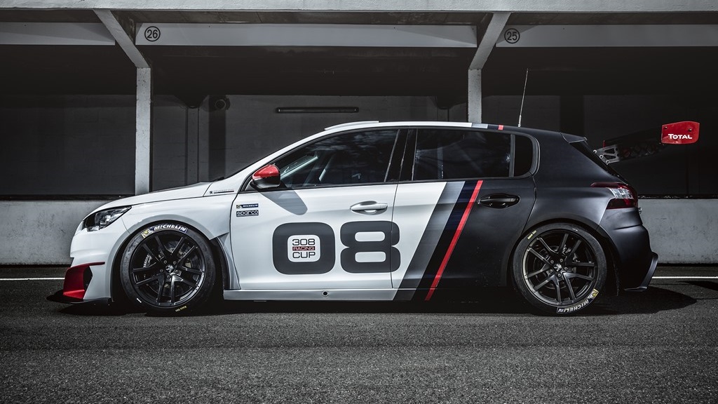 Peugeot 308 Racing Cup 12