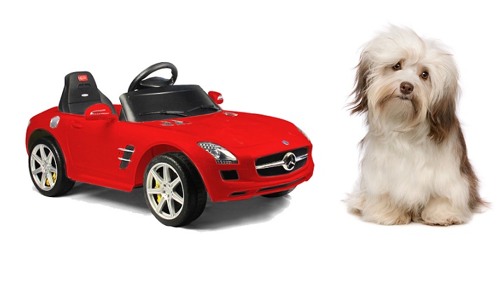 SLS AMG juguete y un perro