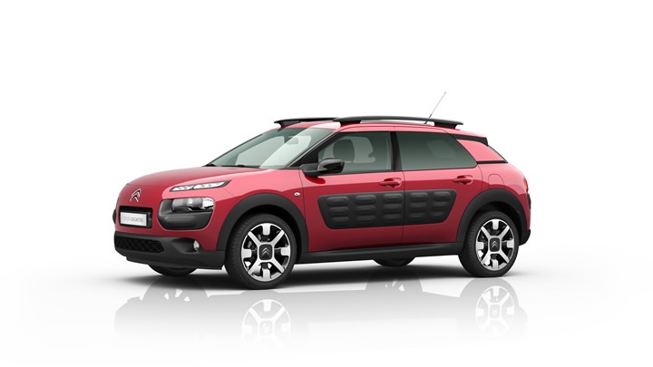 C4 Cactus