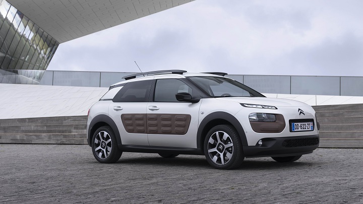 C4 Cactus