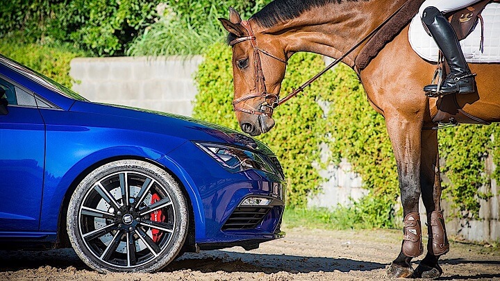 SEAT-Leon-Cupra-y-un-caballo